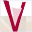 logo vinissimus
